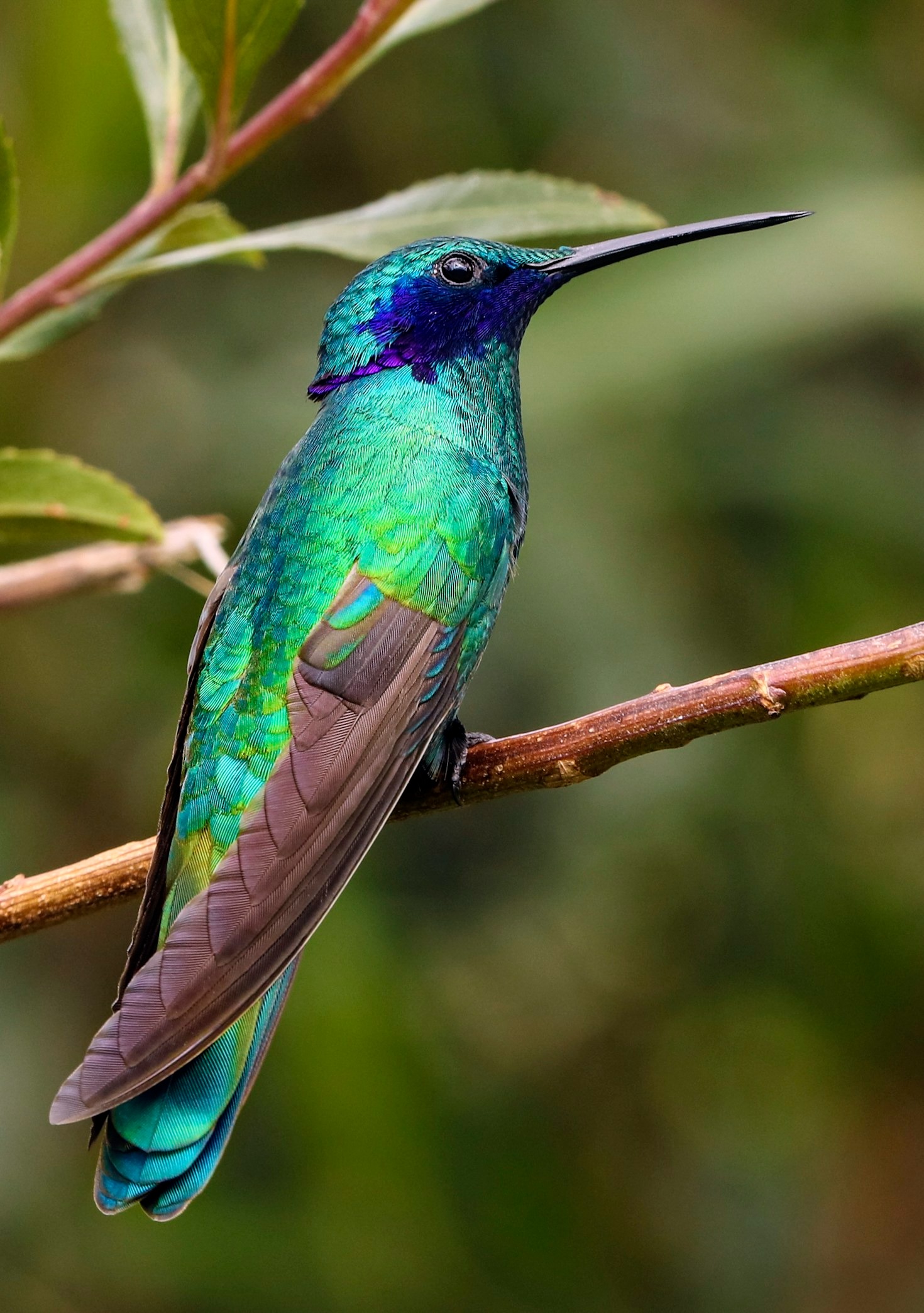 How Young People Are Shaping Conservation Efforts